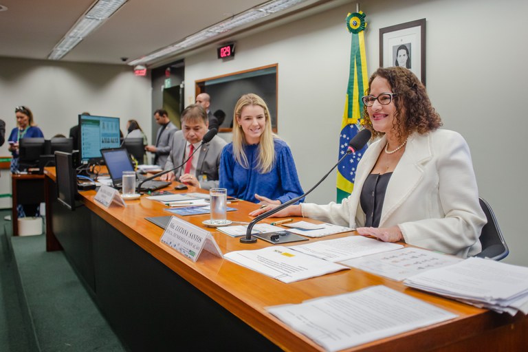 luciana santos em destaque durante reunião na comissão de ciência da câmara dos deputados, em brasília