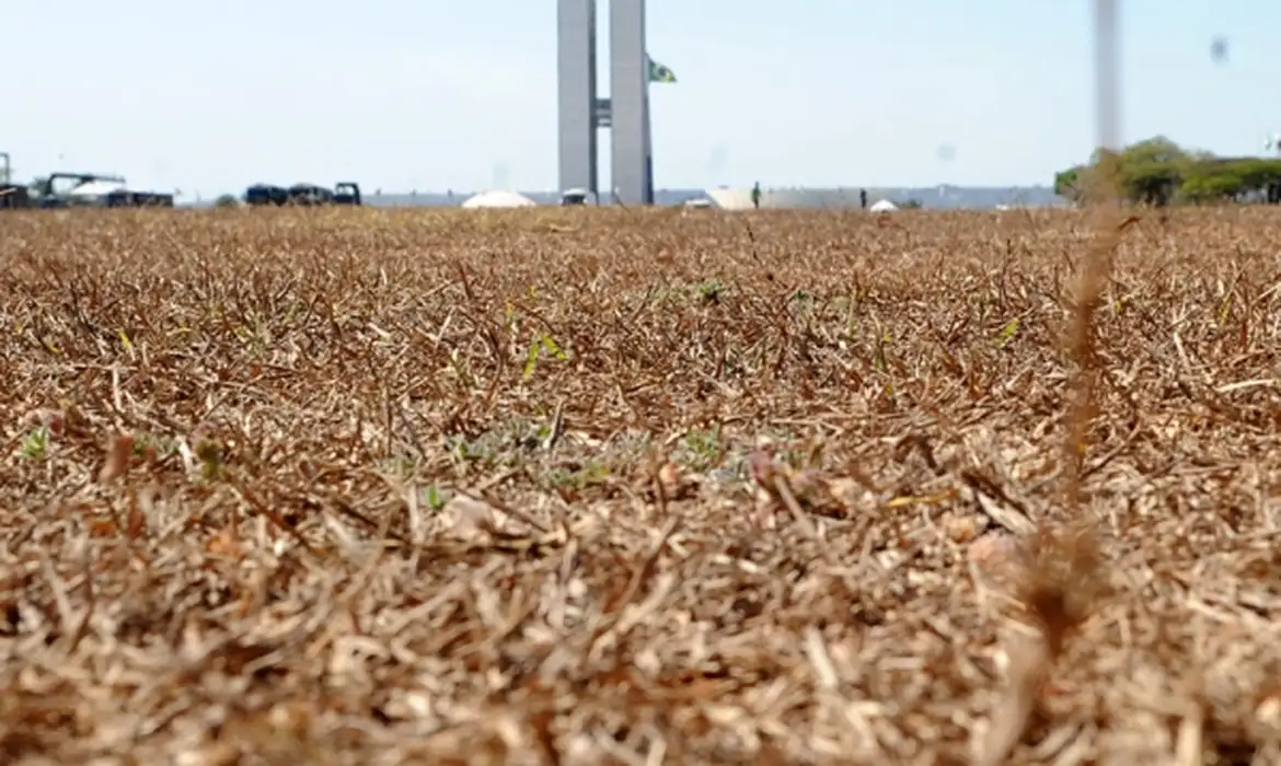 Grande área seca aos arredores do Palácio do Planalto em Brasília, Distrito Federal. 