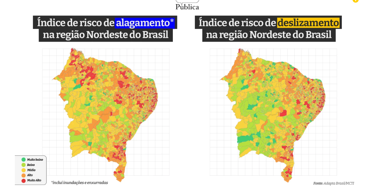 adaptabrasil na agência pública