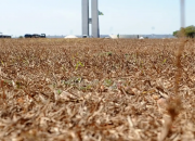 Grande área seca aos arredores do Palácio do Planalto em Brasília, Distrito Federal. 