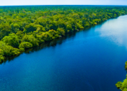 AdaptaBrasil é fonte estratégica para nova meta climática brasileira