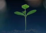 AdaptaBrasil e CNI realizam capacitação sobre riscos climáticos para a indústria